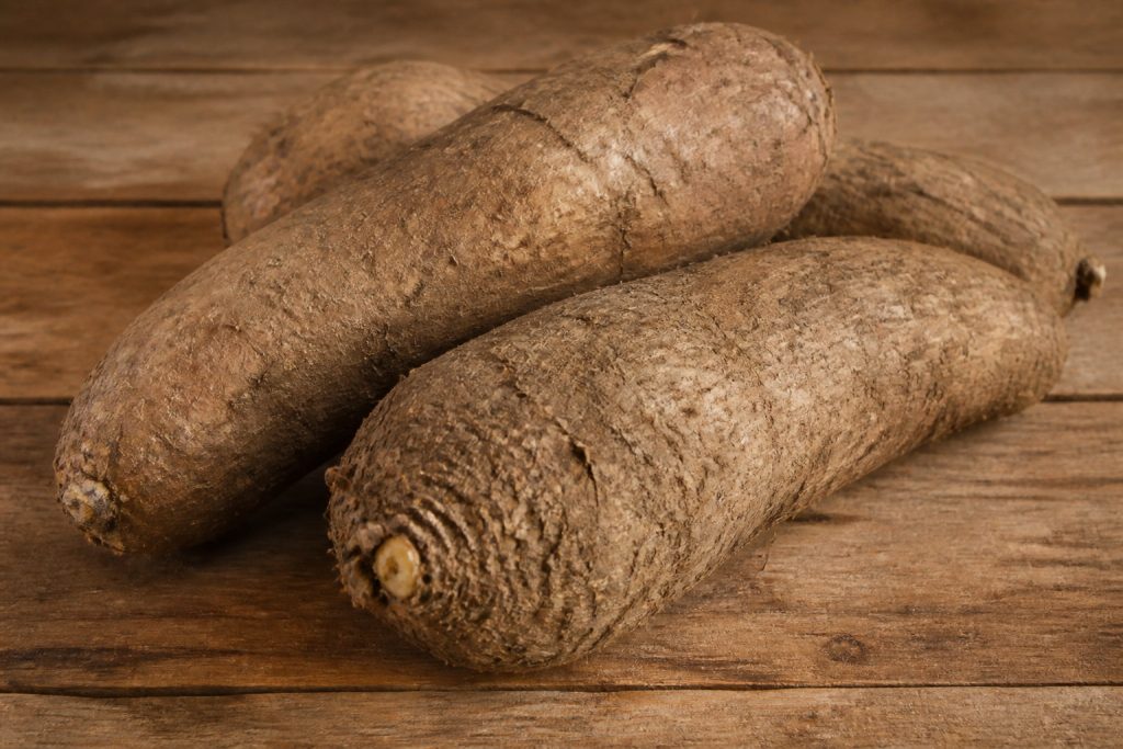 Fruit en i : découvrez l’icaque et les variétés rares