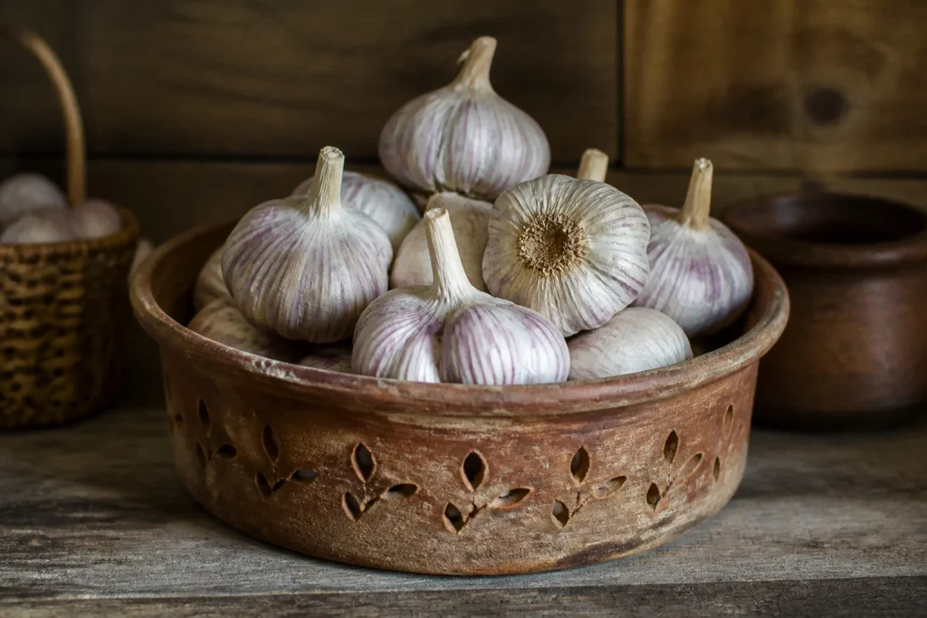 Ail frais dans un pot en terre cuite rustique
