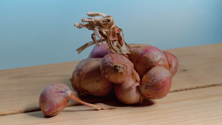 Sauce échalote : réduction, montage au beurre et ratés