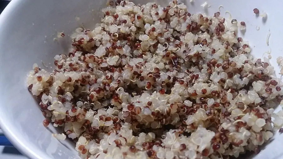 Quinoa blanc et rouge cuit dans un saladier, germes visibles autour des grains