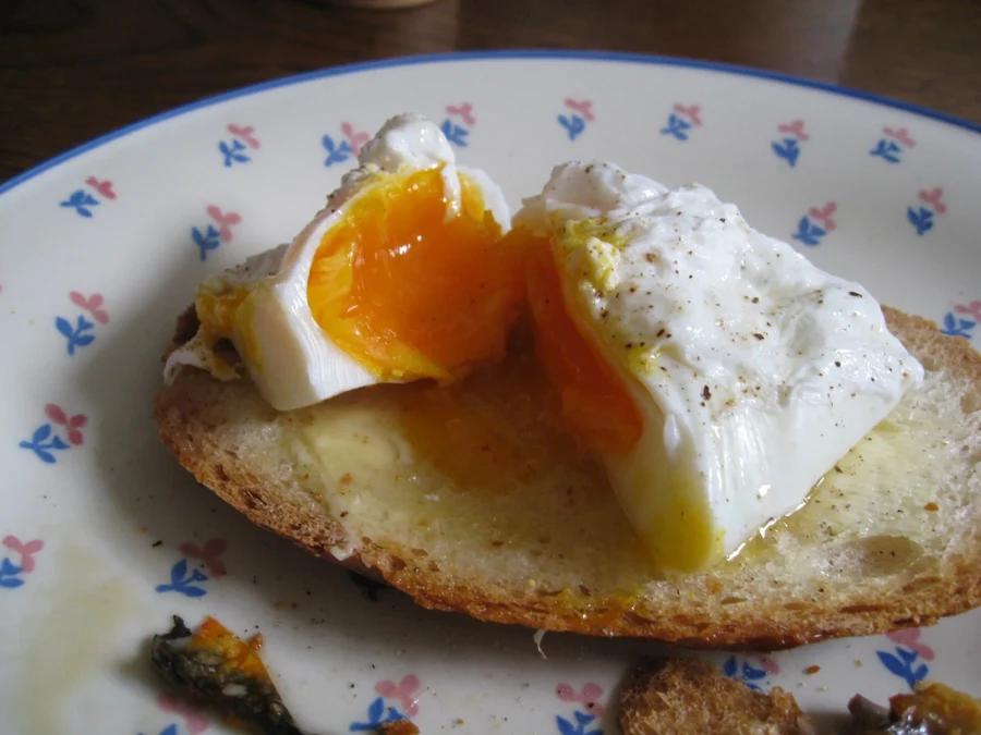 Œuf poché ouvert sur une tartine grillée, jaune orangé coulant et blanc nacré